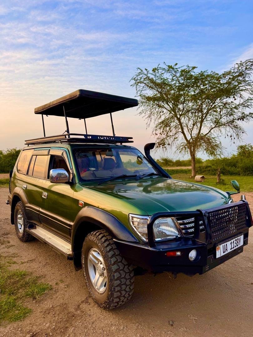 Safari Land Cruiser with pop-up roof in Akagera, Rwanda